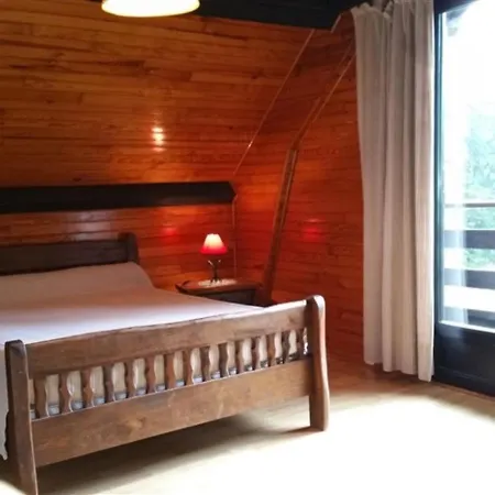 Chalet Mont-dore, 4 Pieces, 6 Personnes - Fr-1-415-53
