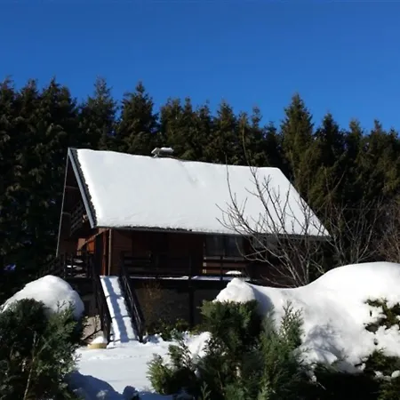 Chalet Mont-dore, 4 Pieces, 6 Personnes - Fr-1-415-53